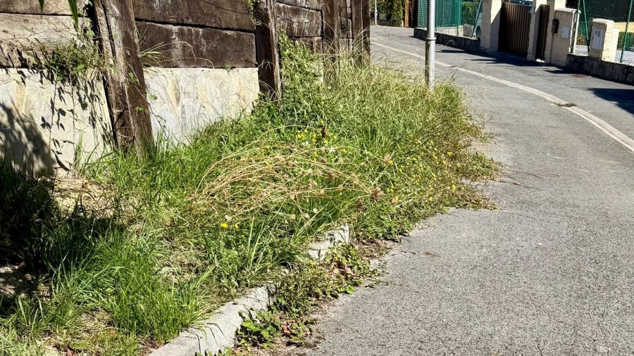 EAJ-PNV de Lemoiz denuncia que los problemas de limpieza y mantenimiento siguen sin resolverse en el municipio