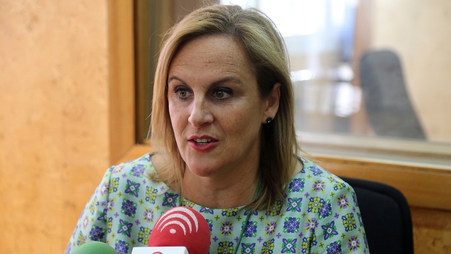 “UPyD eta Ciutadans moldatu beharko dira aurretik zeuden taldeetara eta beraien eskakizunetara”